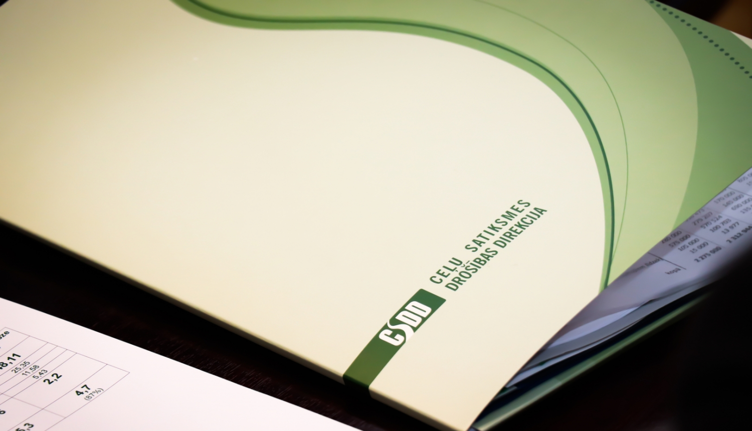 mape ar CSDD logo