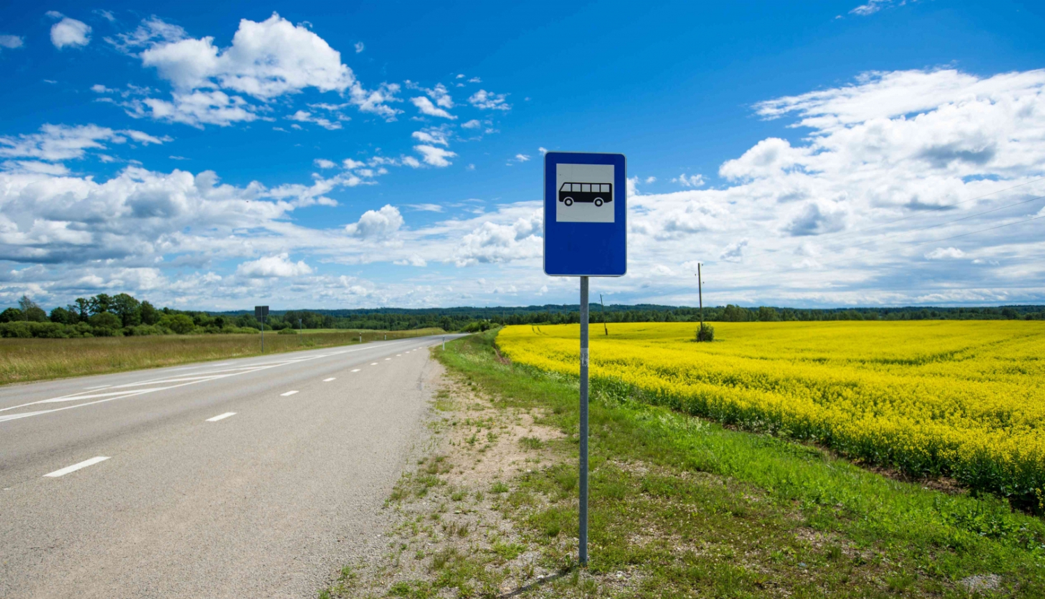 pietura_jāņi