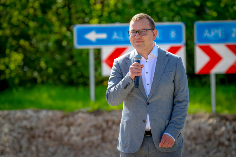 Alsviki