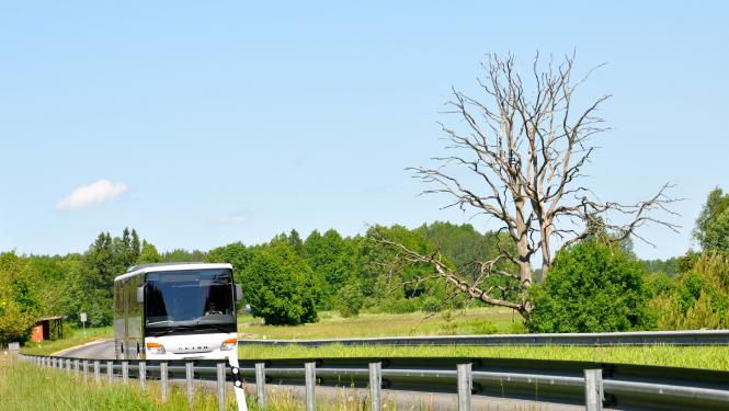Autobuss vasarā brauc pa ceļu