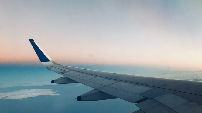lidmašīnas spārns uz zila fona