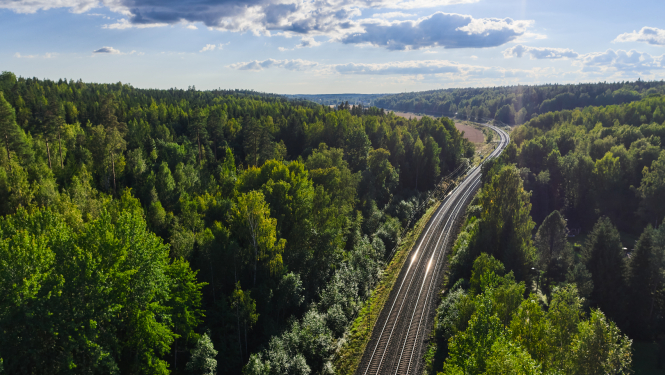 Dzelzceļa sliedes ved cauri zaļam mežam saulainā dienā. Debesīs redzami balti mākoņi.