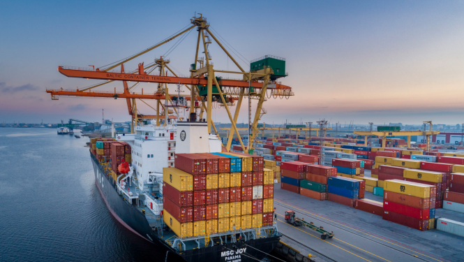 osta krava rīgas brīvosta