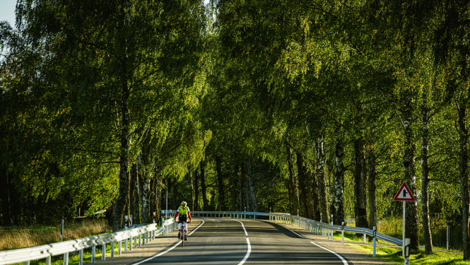 velosipēdists uz autoceļa vasaras dienā