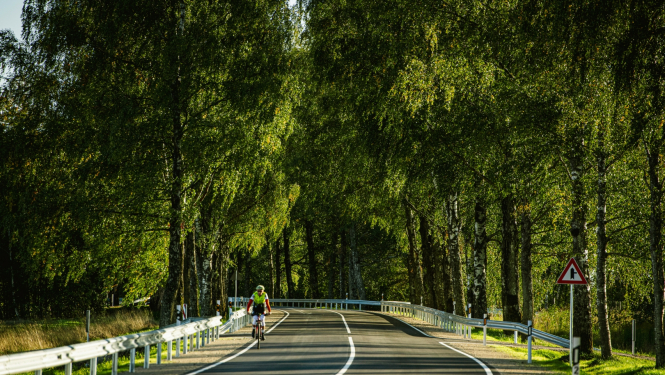 koku ieskauts autoceļš
