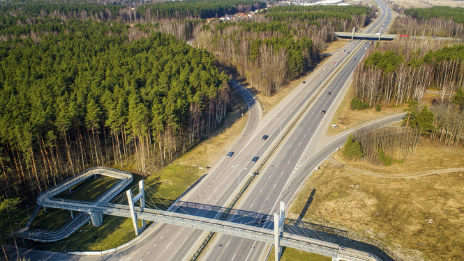 skats uz ceļu no putna lidojuma