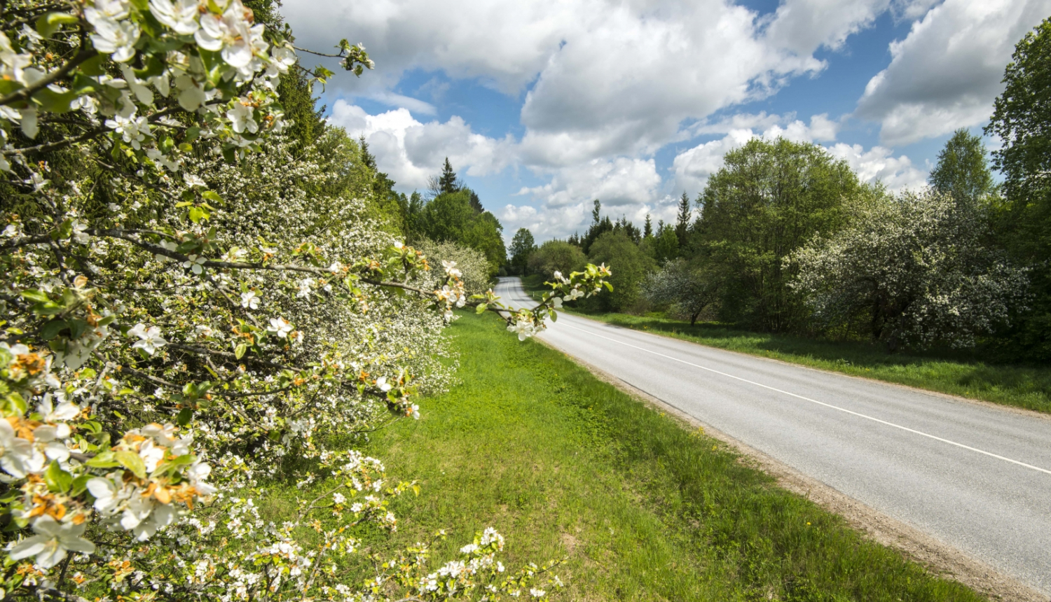 autoceļš pavasarī