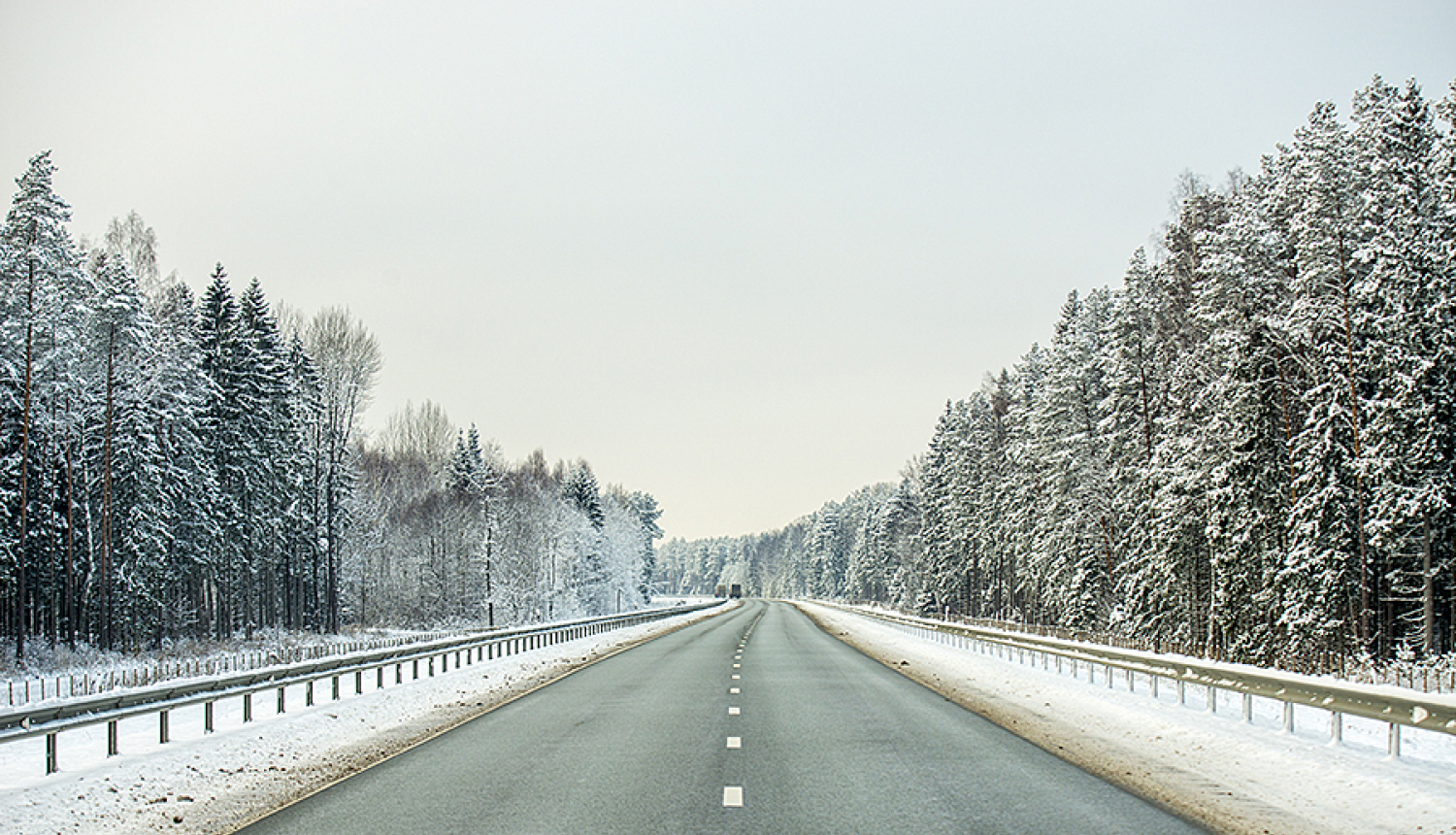 ceļš ziema