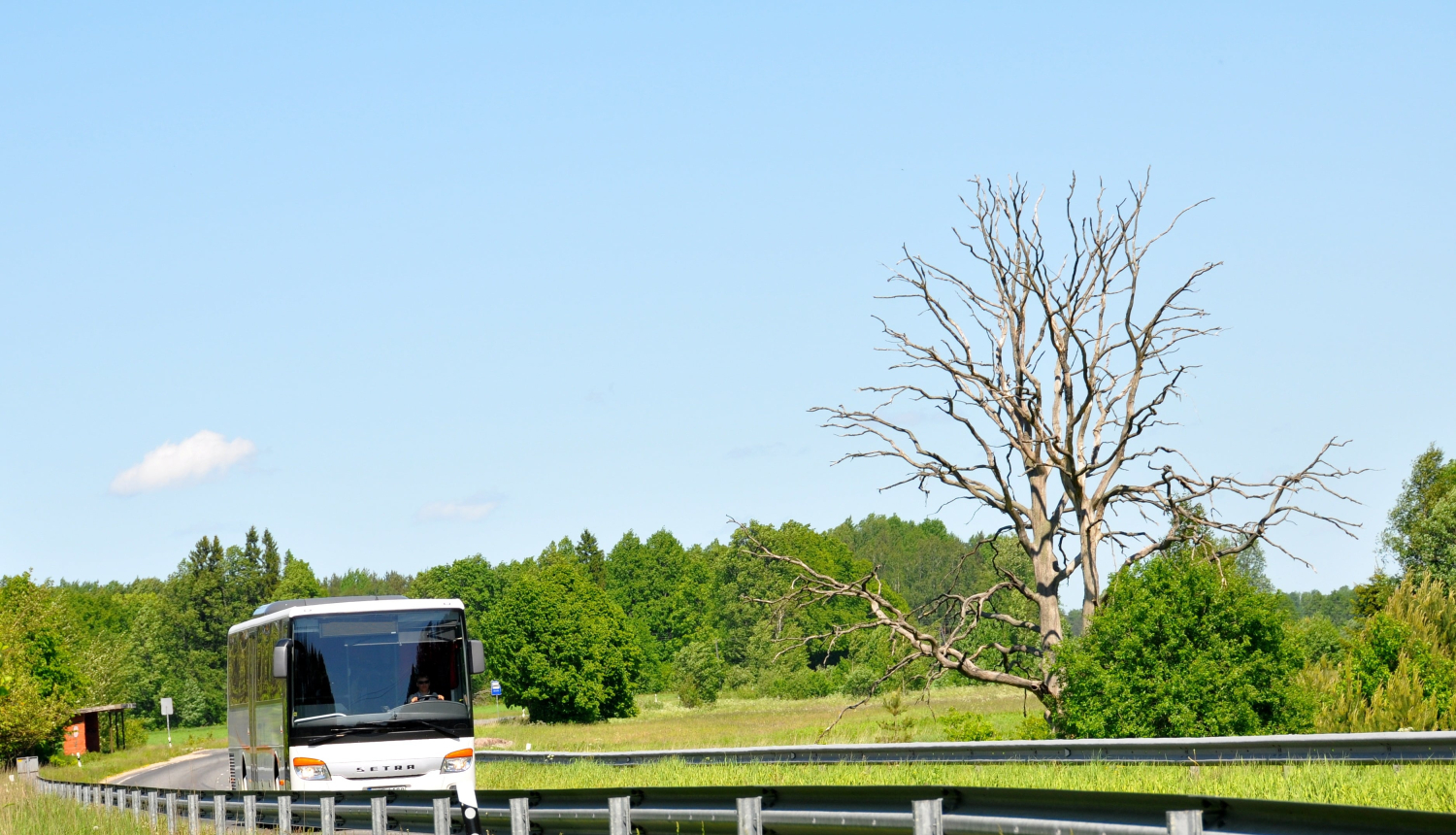 Autobuss vasarā brauc pa ceļu