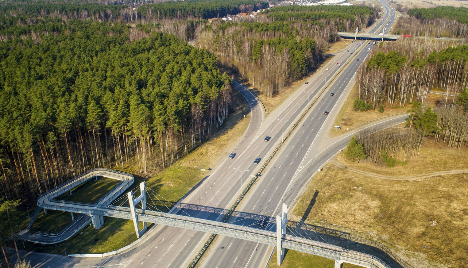 skats uz ceļu no putna lidojuma