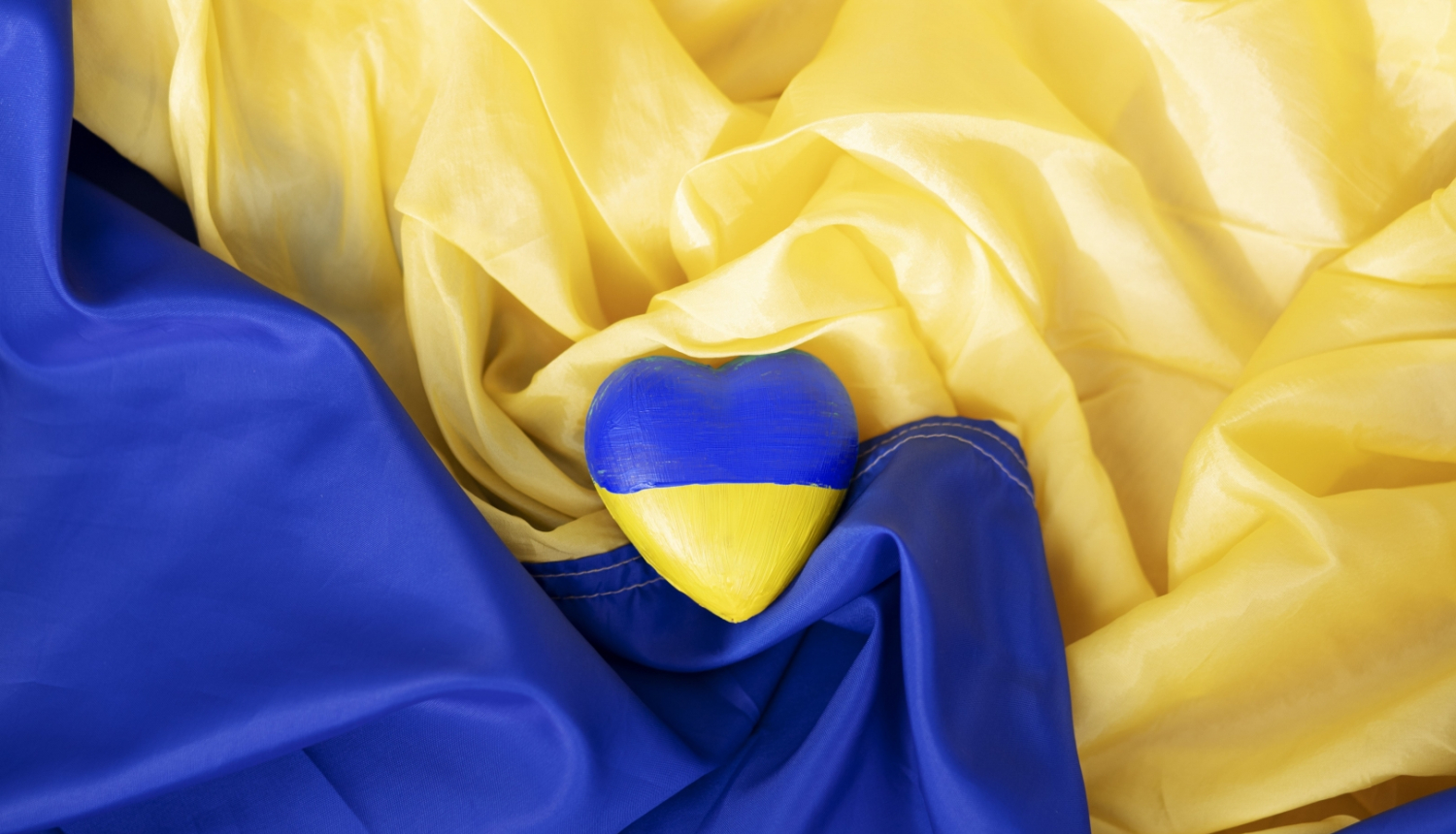 sirds Ukrainas karoga krāsās uz Ukrainas karoga fona