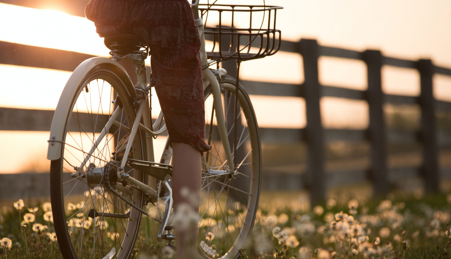 cilvēks minas uz velosipēda pa pļavas taku