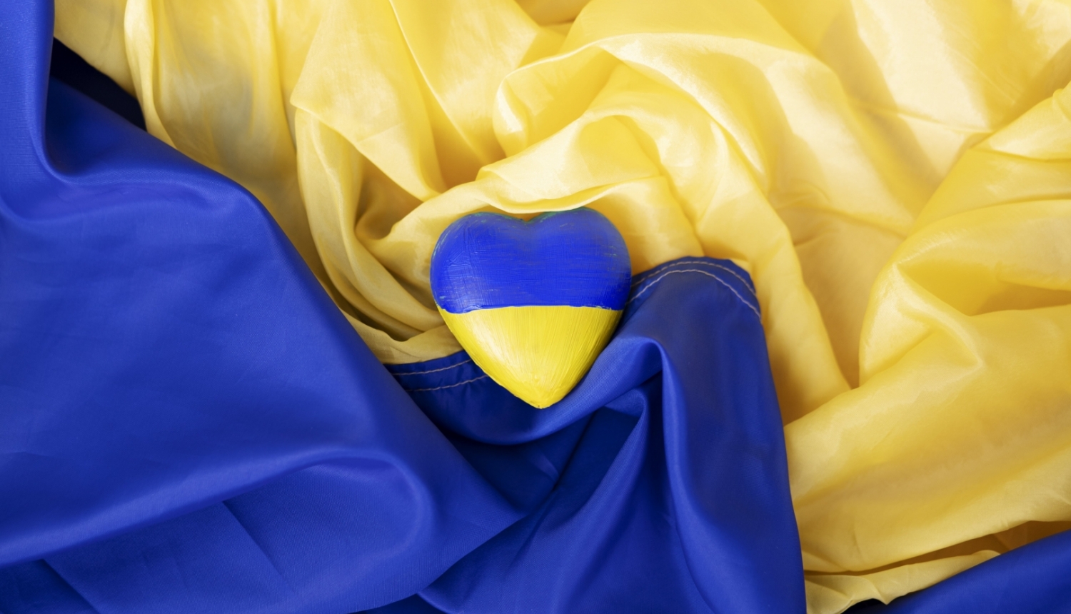 sirds Ukrainas karoga krāsās uz Ukrainas karoga fona